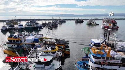 Limanlar kasa kasa doldu, tırlar sıraya girdi: Denizden tonlarca balık çıktı