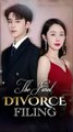 the final divorce filing chinese drama