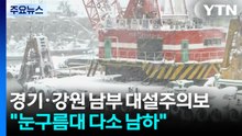 "눈구름대 다소 남하"...경기·강원 남부 대설주의보 / YTN
