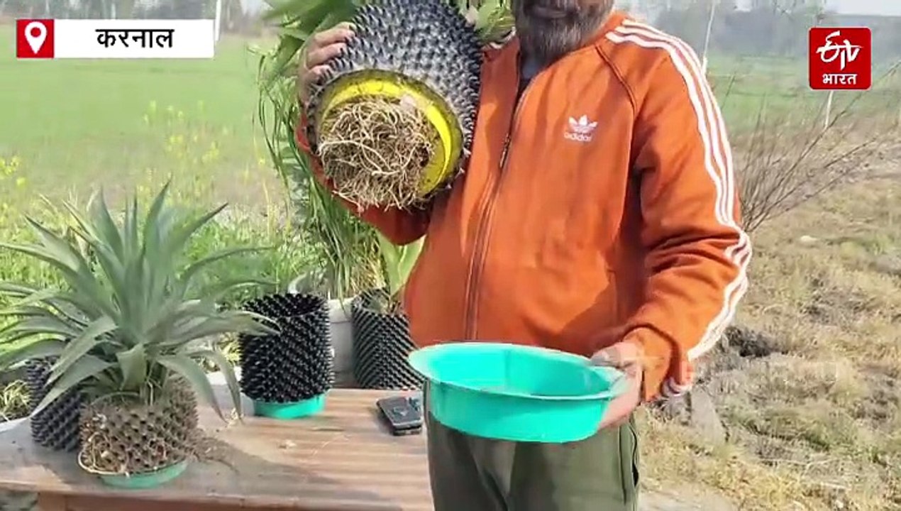 विदेश की जॉब छोड़ नितिन ने शुरू किया स्टार्टअप, कचरे से तैयार किया गमला, पर्यावरण के साथ कर रहे जल संरक्षण, सालाना करोड़ों का है टर्नओवर