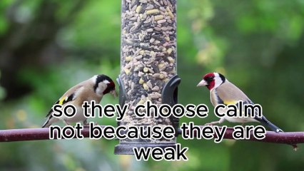 “This Is How Smart People Handle Toxic People | Motivation & Emotional Intelligence”