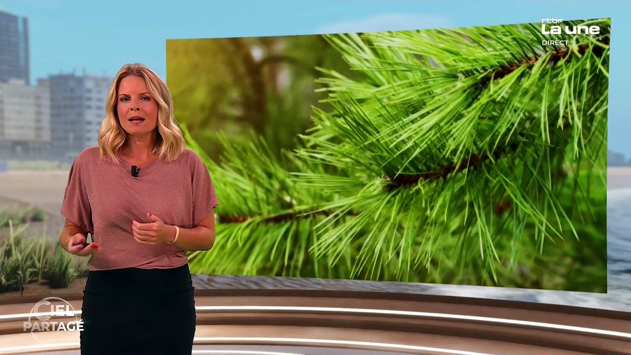 Olivia Roks, Myriam Seurat, Céline Da Costa (13/12/2025)