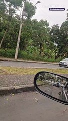 Chuvas deixaram estragos na região norte de BH