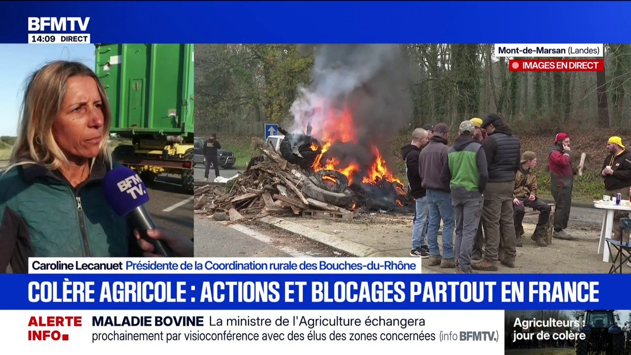 Blocages des agriculteurs: "C'est un premier signal d'alerte et à mon avis ce ne sera pas le dernier", déplore Caroline Lecanuet, présidente de la Coordination rurale des Bouches-du-Rhône