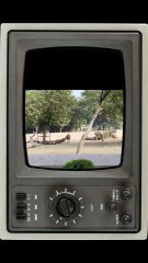 🌄 Captured in heart of nature — where peace meets wilderness.    #SambarDeer #WildlifeIndia