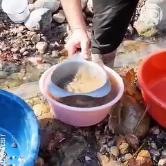 Gold panning in rivers & streams