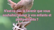 Quel est l'avenir idéal pour vos enfants et petits-enfants ?