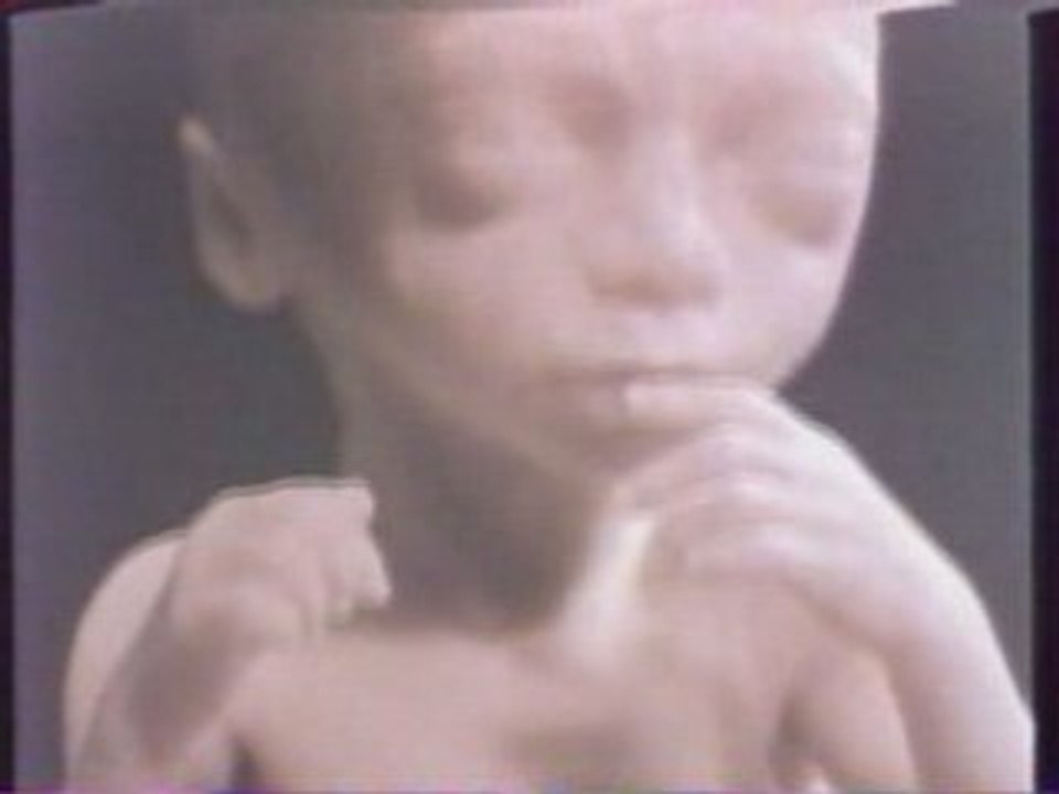 Visiteurs extraterrestres -  4 de 4