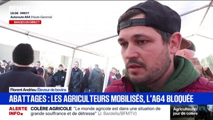 Crise agricole: "Si demain mon troupeau est abattu totalement, je ne sais pas comment je m'en relève", prévient Florent Andrieu