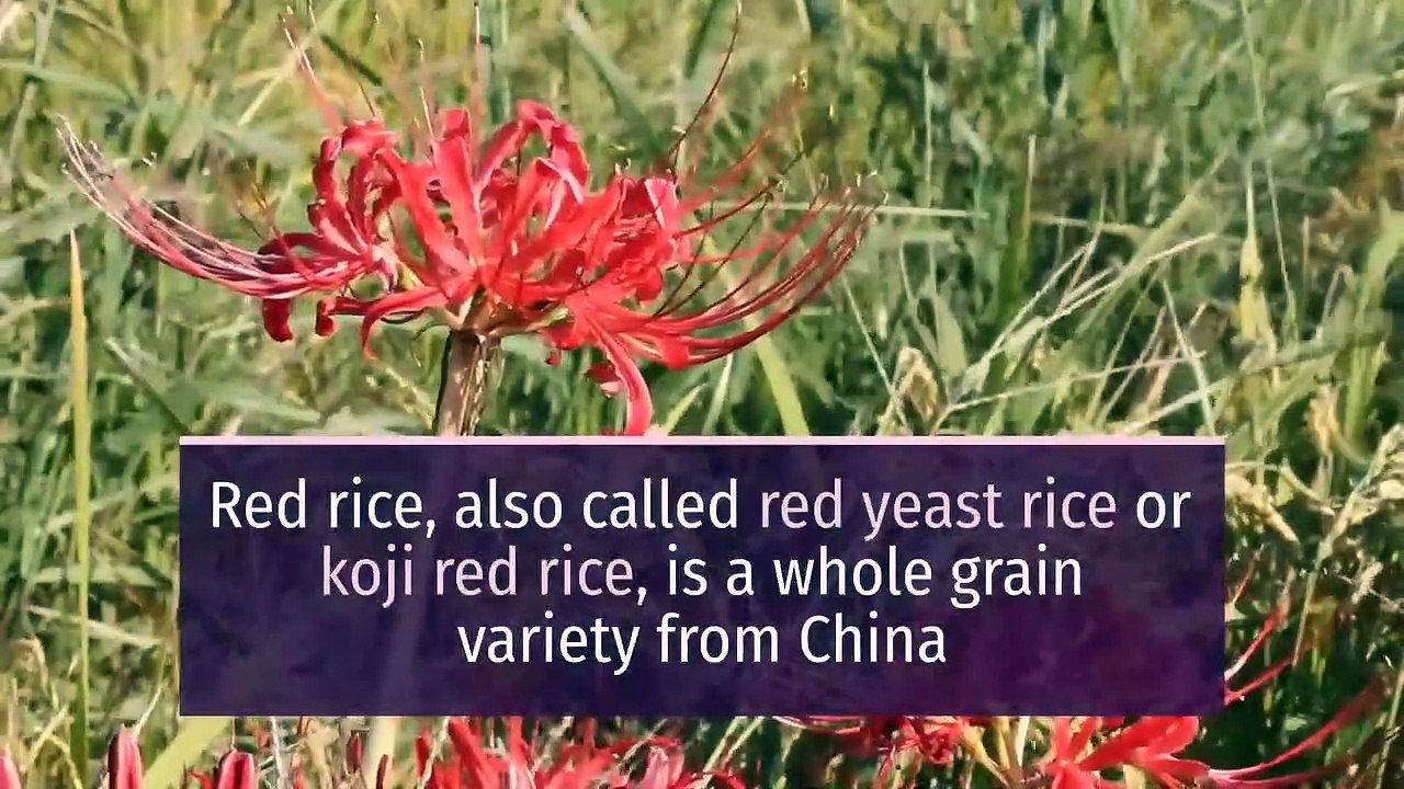 8 Health benefits of Red Rice