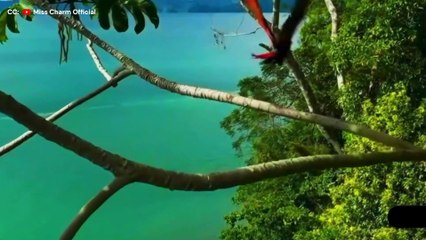 Official Top 12 of Miss Charm 2025 Shocks Everyone | India Vietnam USA Make Huge Leap #misscharm