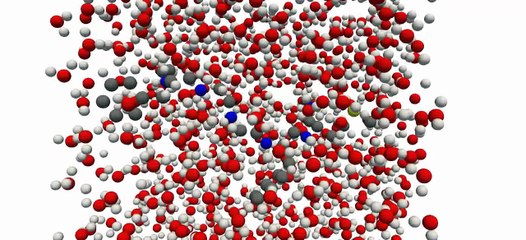 Peptide Molecular Dynamics Simulation  in Water Bulk_ Charmm potential at 275K