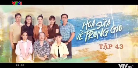 Hoa Sữa Về Trong Gió - tập 43 - HP Media