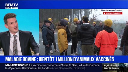 Dermatose bovine: la ministre de l'Agriculture ne se rendra pas sur les points de blocage mais tiendra une réunion en visioconférence avec les élus des zones touchées par la maladie
