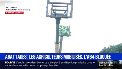 Abattages: "Les gens ont peur d'une euthanasie totale de leur troupeau", assure cet éleveur dans l'Ariège