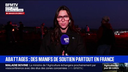 Dermatose bovine: "Je ne comprends pas comment la ministre de l'Agriculture peut ordonner des génocides pareils sur nos cheptels", déclare cet éleveur laitier dans l'Avesnois
