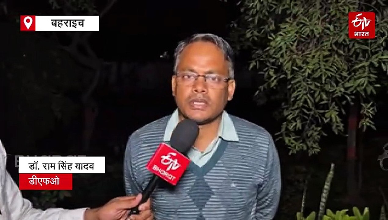 बहराइच में मारा गया आदमखोर भेड़िया; वन विभाग ने बुलाये थे शार्प शूटर्स, सुबह बच्ची को बनाया था निवाला