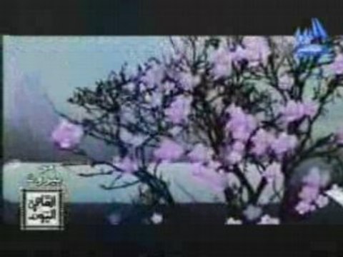 Nancy Ajram-Яesala ll3alam ( ИΞW clip)