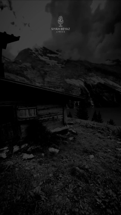 Sezen Aksu - Aşktan Ne Haber 🎶 #lyrics #shorts #viral #keşfet #edit #trending #music #song #ytshorts