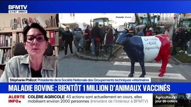 Dermatose bovine: On a jugé plus prudent d'augmenter la zone de vaccination , affirme Stéphanie Philizot, présidente de la Société Nationale des Groupements techniques vétérinaires