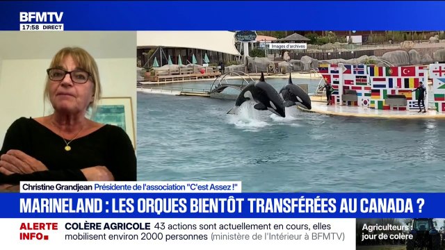 Christine Grandjean, présidente de l'association C'est Assez! , estime que le transfert de deux orques du parc aquatique Marineland vers le Canada est une bonne chose
