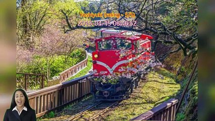 「TravelPZ」 Review Taiwan High Speed Rail Unlimited Ride Pass (2-Day/3-Day/5-Day) for Foreign Visitors