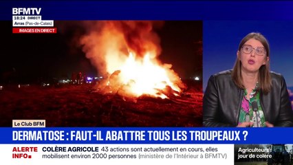Dermatose bovine: "Il faut revoir et faire évoluer les règles" européennes sur la circulation et le commerce du bétail, estime Karine Daniel, spécialiste économie agricole et agroalimentaire