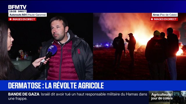 Dermatose bovine: C'est dramatique, on est en train de tuer l'élevage et des familles , assure cet éleveur en Haute-Garonne
