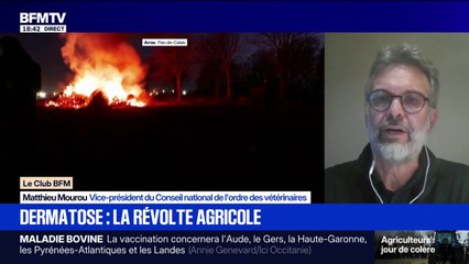 Dermatose bovine: "C'est quand même compliqué d'intervenir encadré par des forces de l'ordre", assure Matthieu Mourou, vice-président du Conseil national de l'ordre des vétérinaires