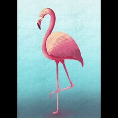 SERDAR ŞİMŞEK ÇİZİMLERİ