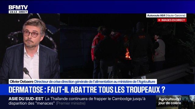 Si vous mettez la vache de côté, vous ne mettez pas le virus de côté : Olivier Debaere, directeur de crise au ministère de l'Agriculture, défend l'abattage en cas de détection de dermatose bovine