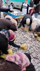 Şanlıurfa’da Yürek Isıtan Olay: Arabası Kırıldı, Balıklarını Ücretsiz Dağıttı