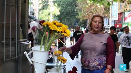 Inseguridad, principal preocupación de los chilenos en plena segunda vuelta