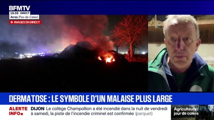 Dermatose bovine: "Il faut que la ministre nous trouve des solutions", assure Luc Smessaert, vice-président de la FNSEA