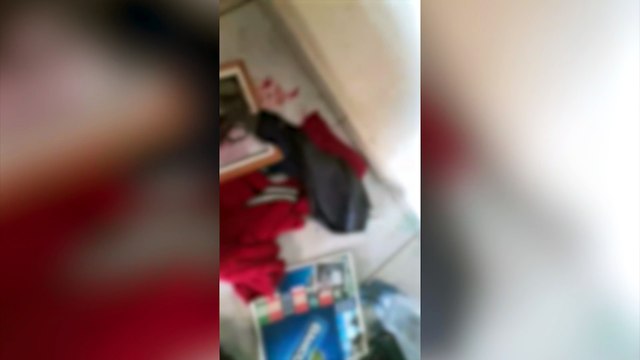 Homem de 28 anos é detido por violência doméstica e maus-tratos a animal na região Norte