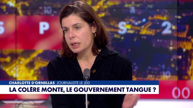La mobilisation des agriculteurs, analysée par Charlotte d'Ornellas