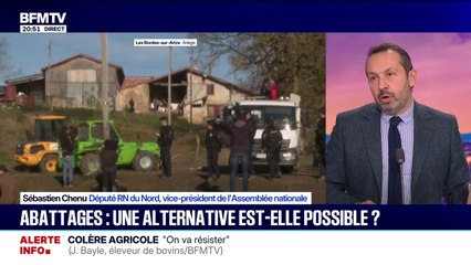 Dermatose bovine: "La priorité, c'est la vaccination", assure Sébastien Chenu (RN)