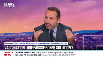 Dermatose bovine: pour Sébastien Chenu (RN), Annie Genevard "sous-estime l'effet traumatique du monde paysan"