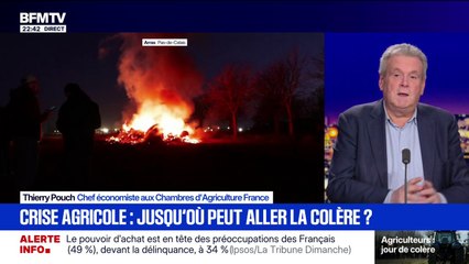 Dermatose bovine: "C'est plusieurs millions de doses qu'il faudrait" pour vacciner l'entièreté du cheptel français, assure Thierry Pouch, chef économiste aux Chambres d'Agriculture France
