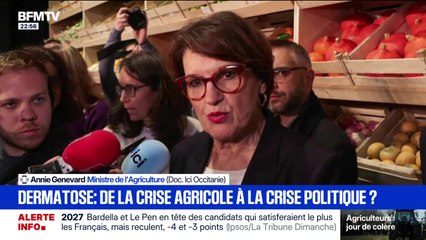 Dermatose : de la crise agricole à la crise politique ? - 13/12