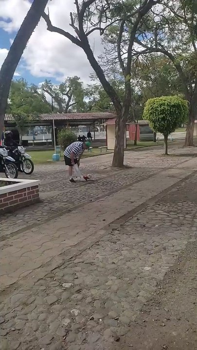 El gato en la carrera 🤩