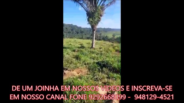 FAZENDA COM 380 ALQUEIRÃO A VENDA CMC