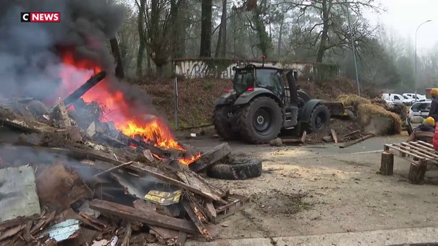 Dermatose : des milliers de manifestants