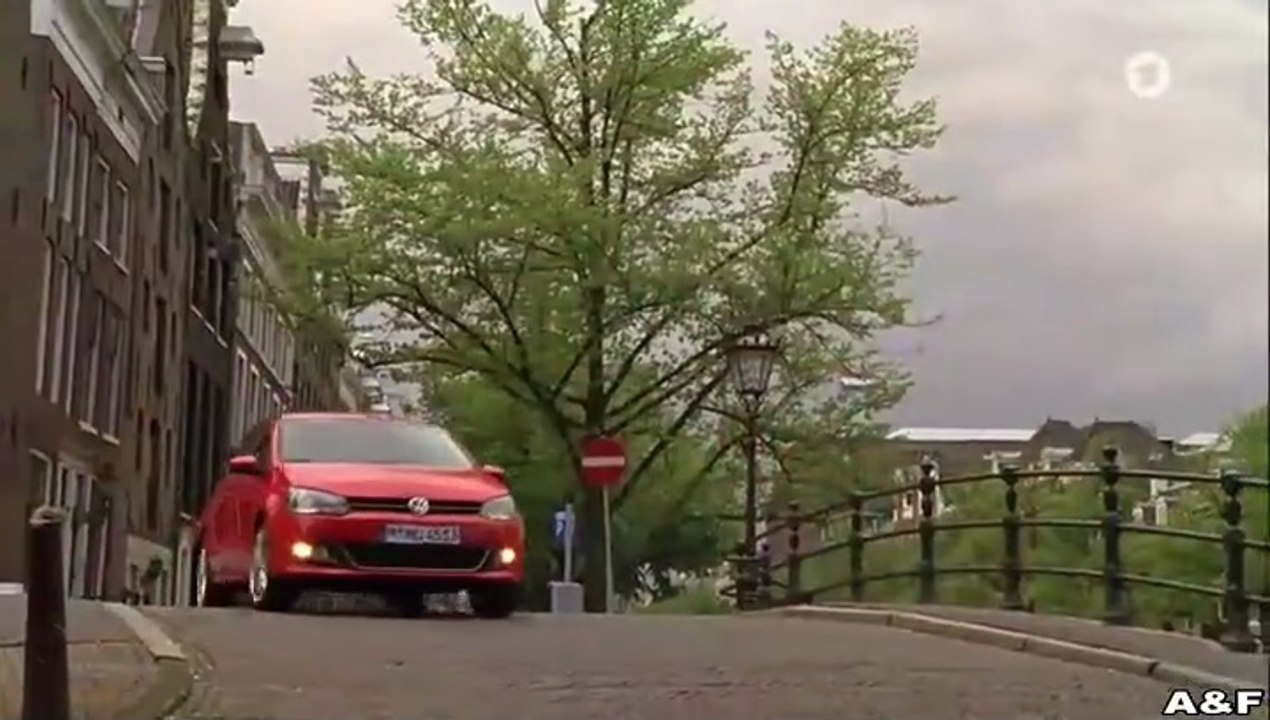 Tulpen aus Amsterdam