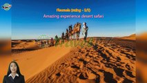 「TravelPZ」 Review Full-Day Desert Safari with Buffet Dinner || Inland Sea Visit