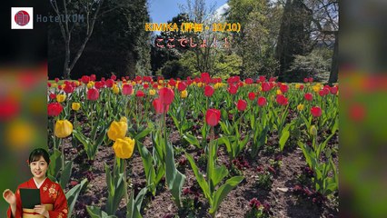 HotelKDM | トウヨコ イン フランクフルト アム マイン ハウプトバーンホフ(Toyoko Inn Frankfurt am Main Hauptbahnhof)のレビュー