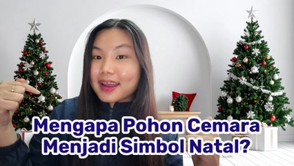 Mengapa Pohon Cemara Menjadi Simbol Natal? Ini Sejarah dan Makna di Baliknya