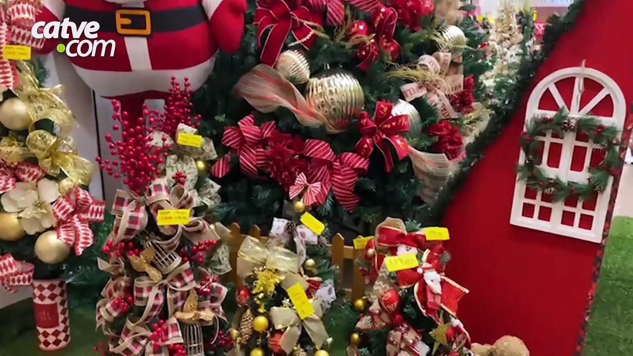 ONGs se unem em ação de Natal para ajudar animais em situação de abandono em Cascavel