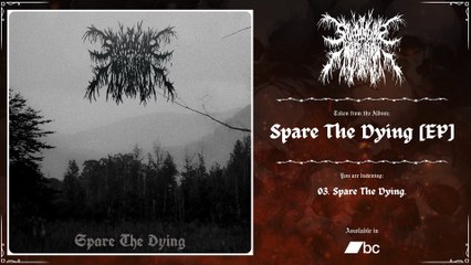 SCARS LIKE REMINDERS - Spare The Dying | 2025 | Full EP |