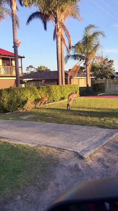 Welcome to Australia 🇦🇺